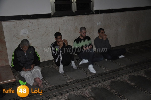 zeker jabaliay (8).JPG